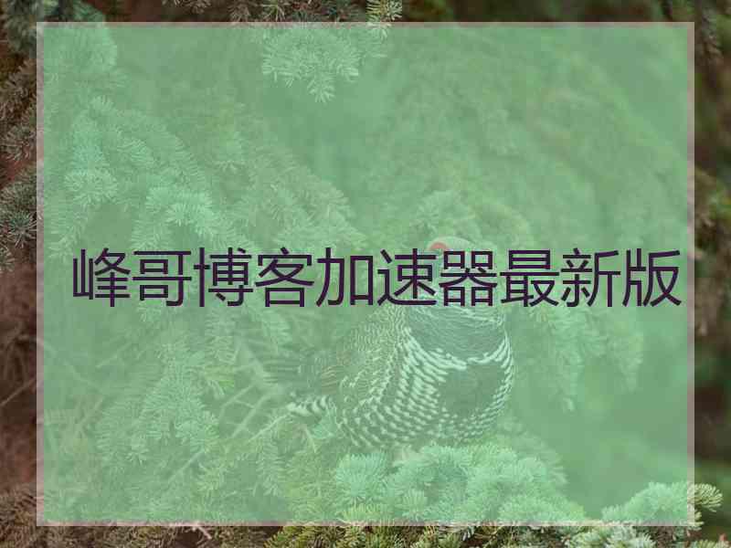 峰哥博客加速器最新版