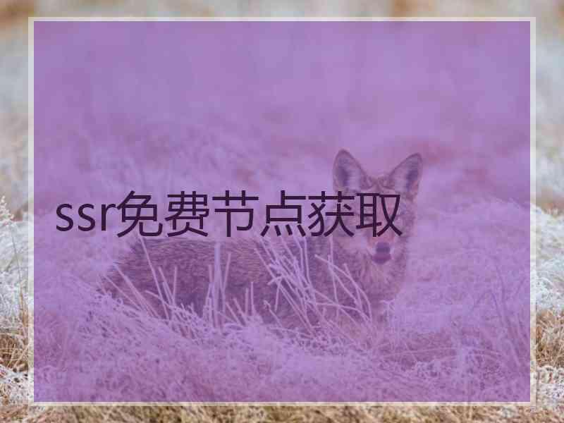ssr免费节点获取