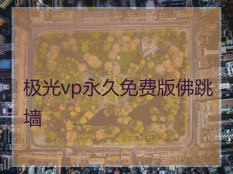 极光vp永久免费版佛跳墙