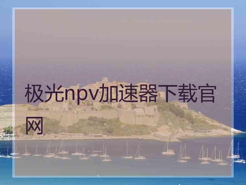 极光npv加速器下载官网