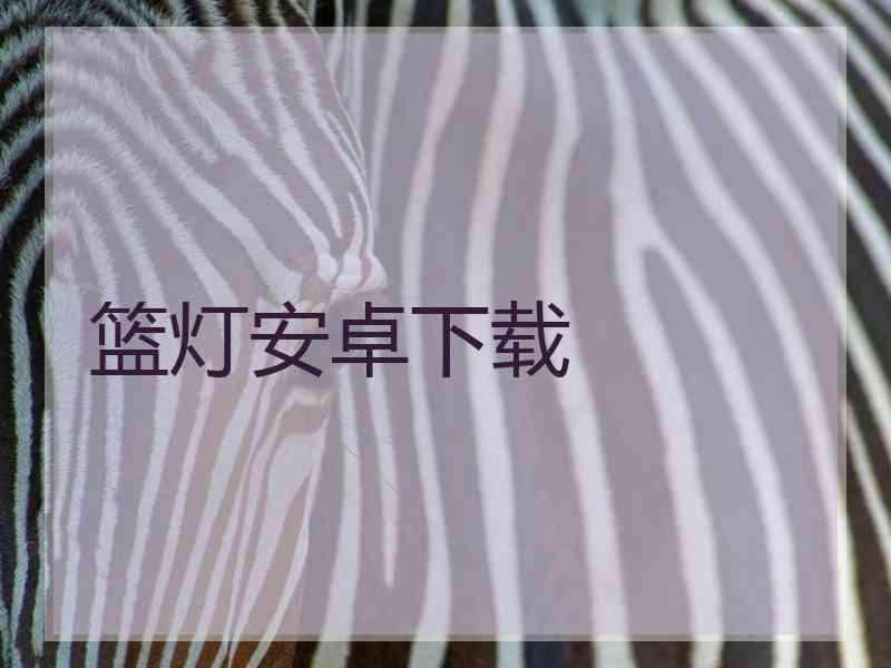 篮灯安卓下载
