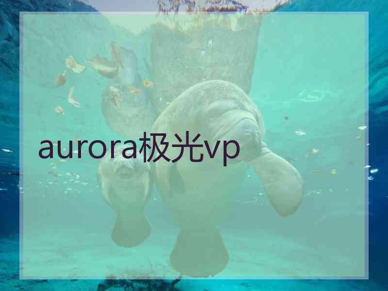 aurora极光vp