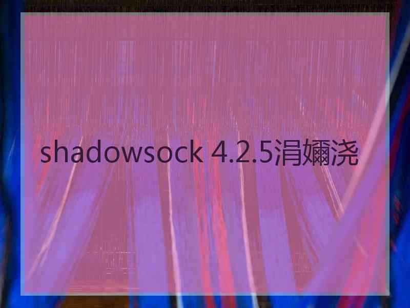 shadowsock 4.2.5涓嬭浇
