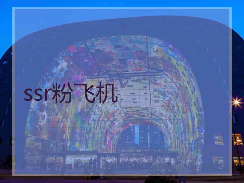 ssr粉飞机