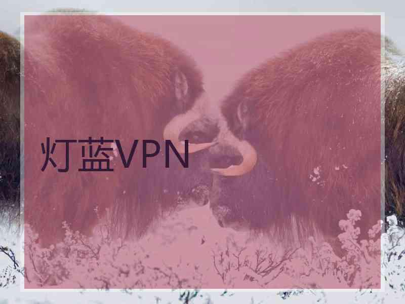 灯蓝VPN