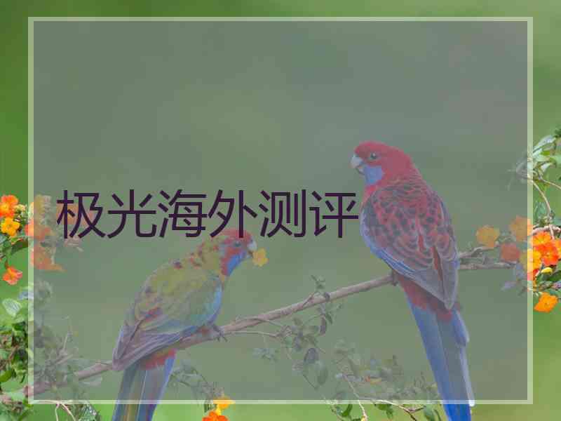 极光海外测评