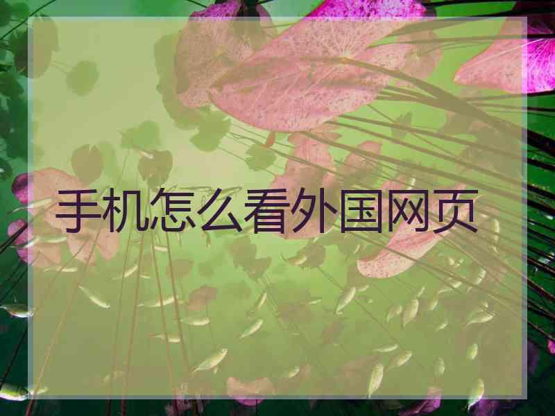 手机怎么看外国网页