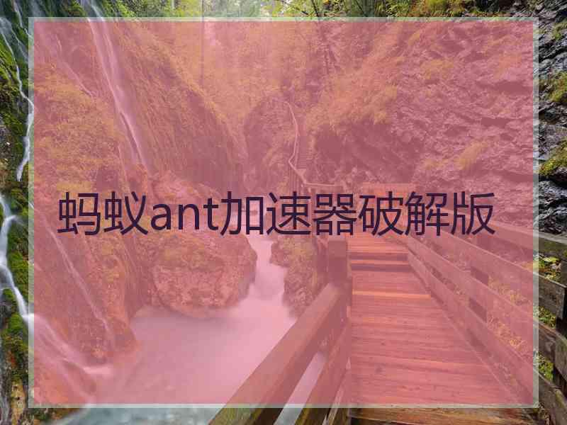 蚂蚁ant加速器破解版