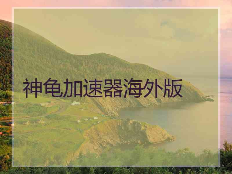 神龟加速器海外版