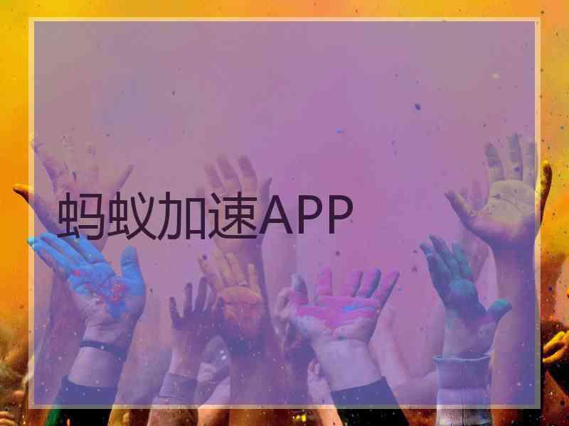 蚂蚁加速APP