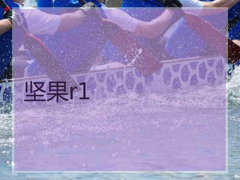 坚果r1