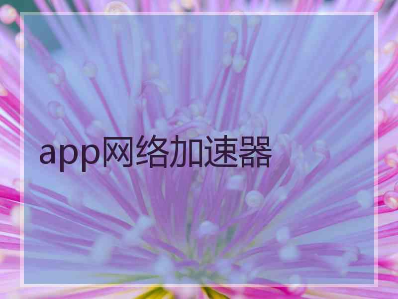 app网络加速器