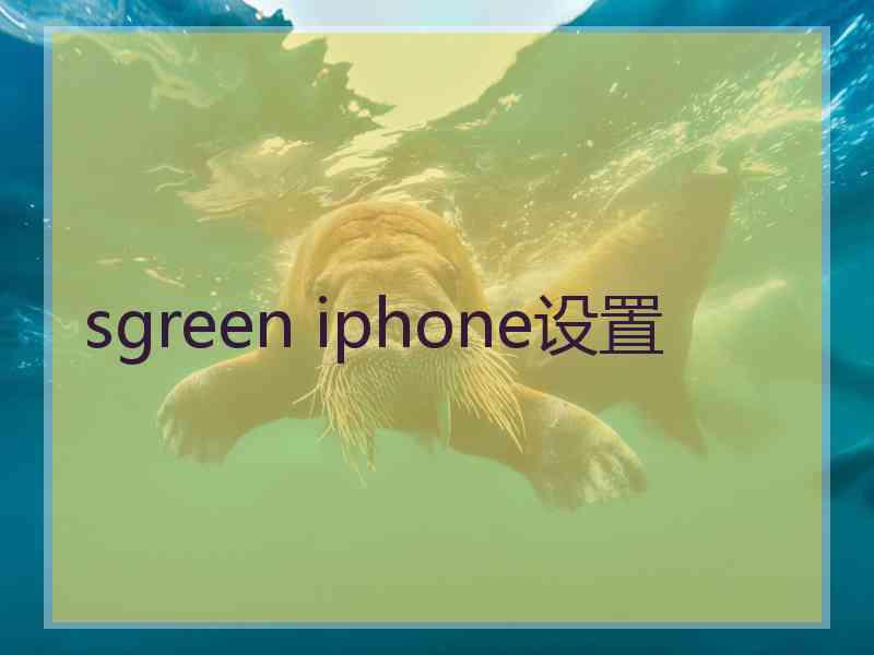 sgreen iphone设置