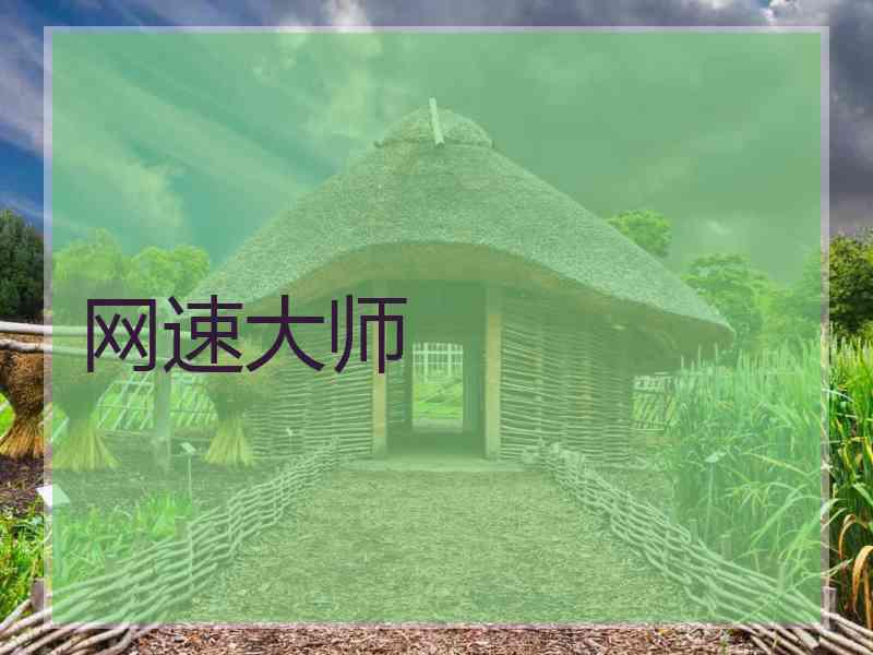 网速大师