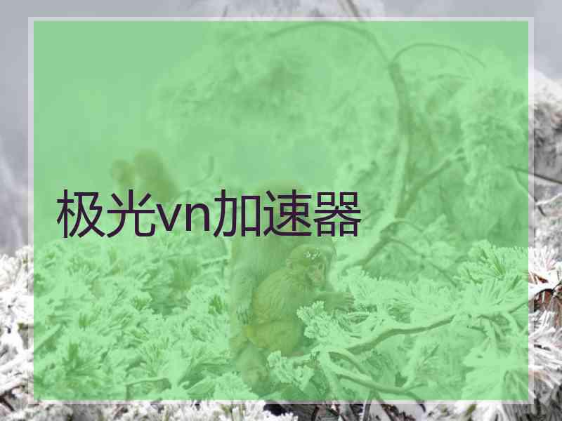 极光vn加速器