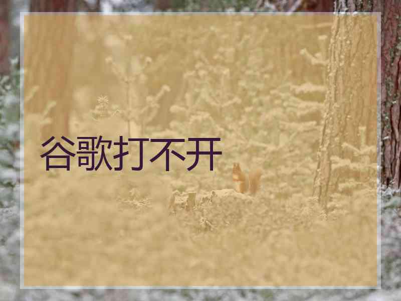 谷歌打不开