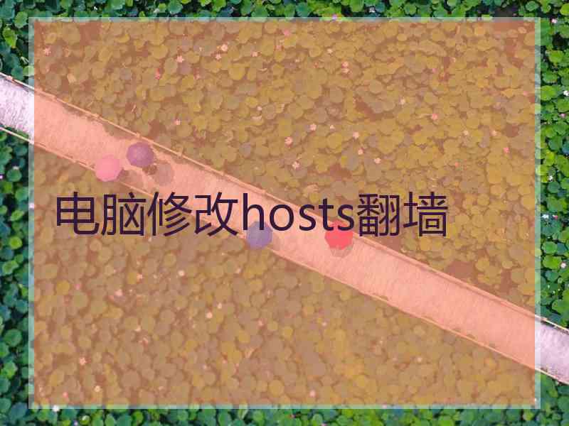 电脑修改hosts翻墙