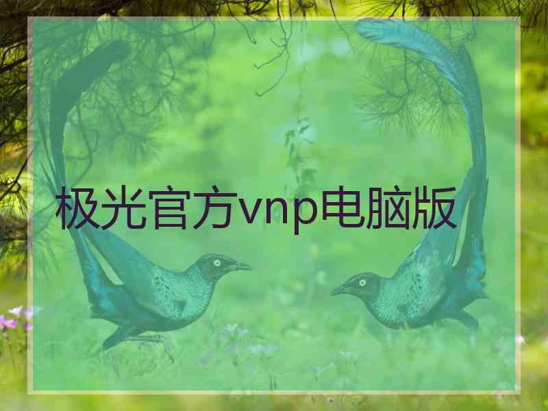 极光官方vnp电脑版