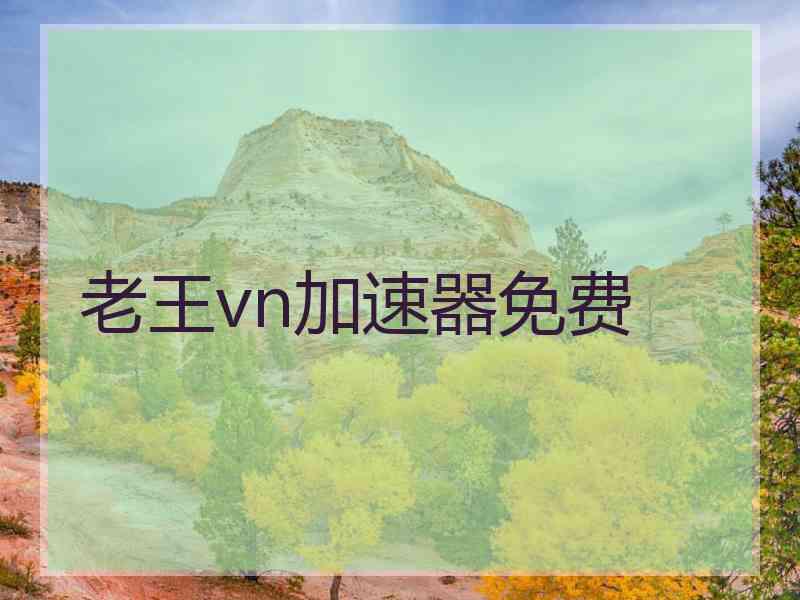 老王vn加速器免费