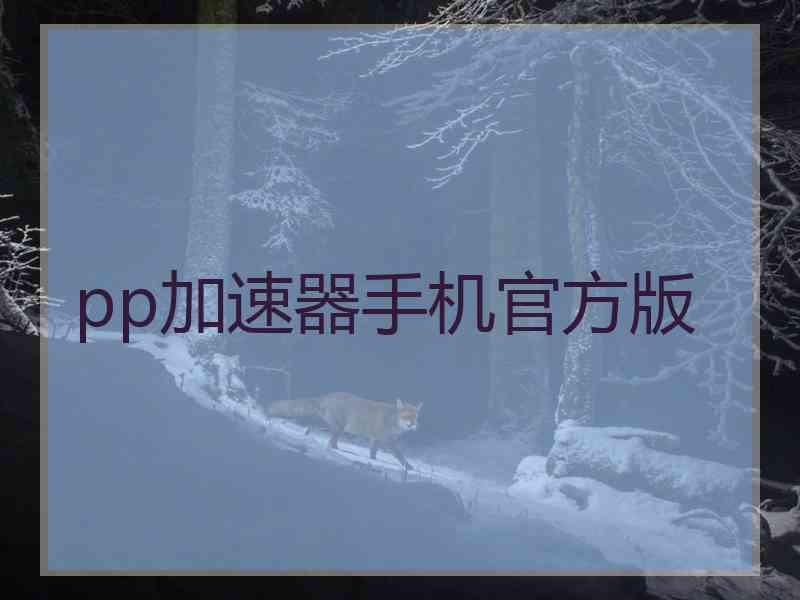 pp加速器手机官方版