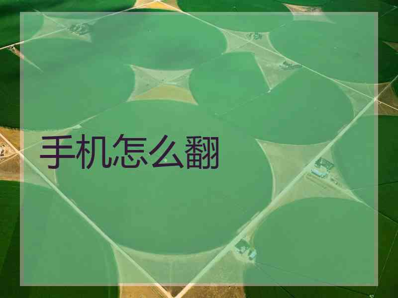 手机怎么翻