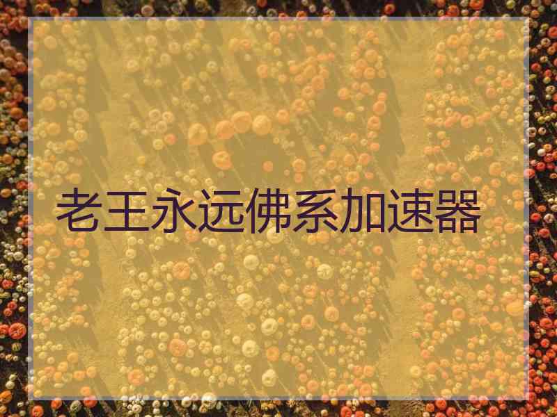 老王永远佛系加速器