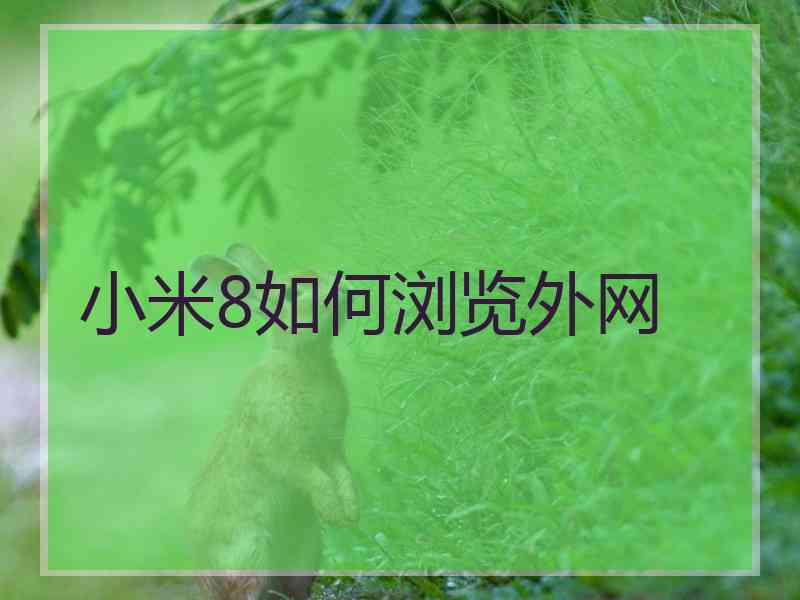 小米8如何浏览外网