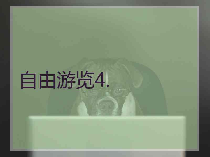 自由游览4.