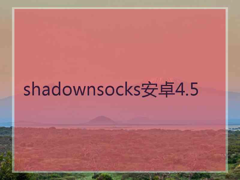 shadownsocks安卓4.5