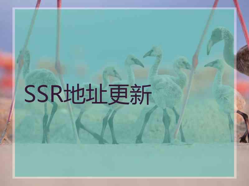 SSR地址更新
