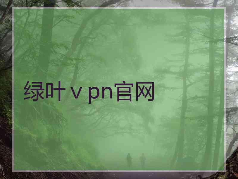 绿叶ⅴpn官网