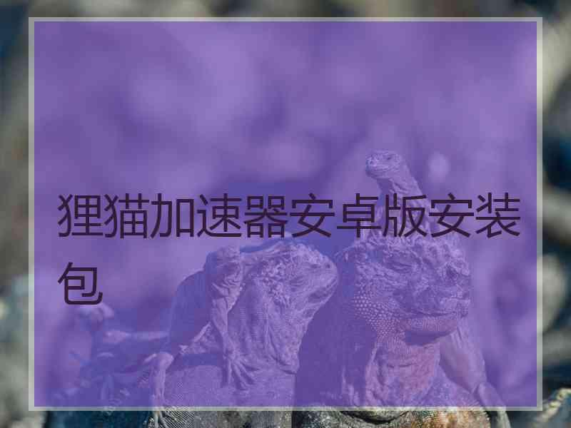狸猫加速器安卓版安装包
