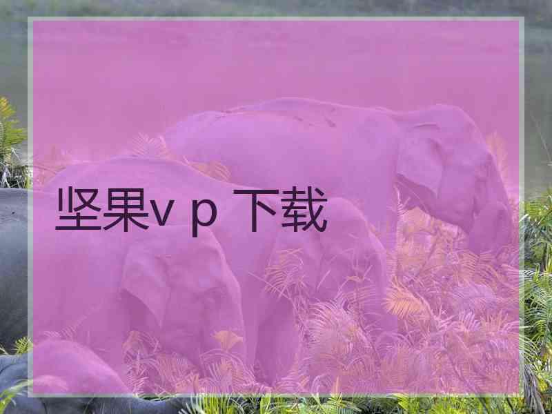 坚果v p 下载