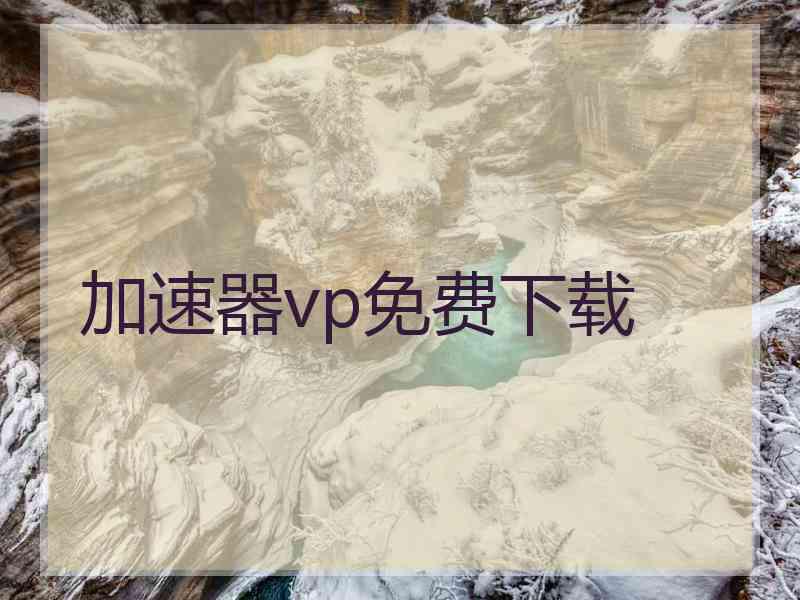 加速器vp免费下载