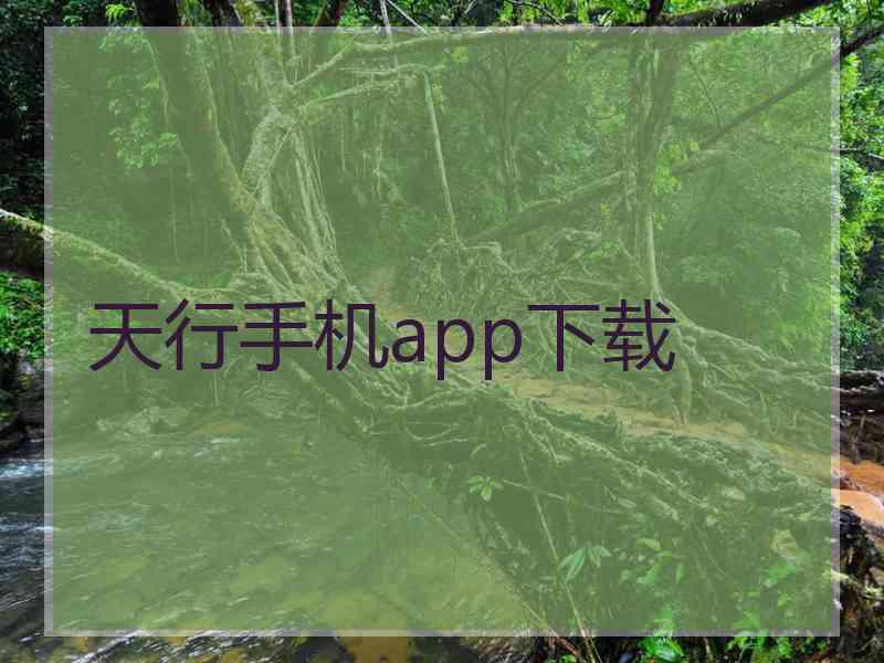 天行手机app下载
