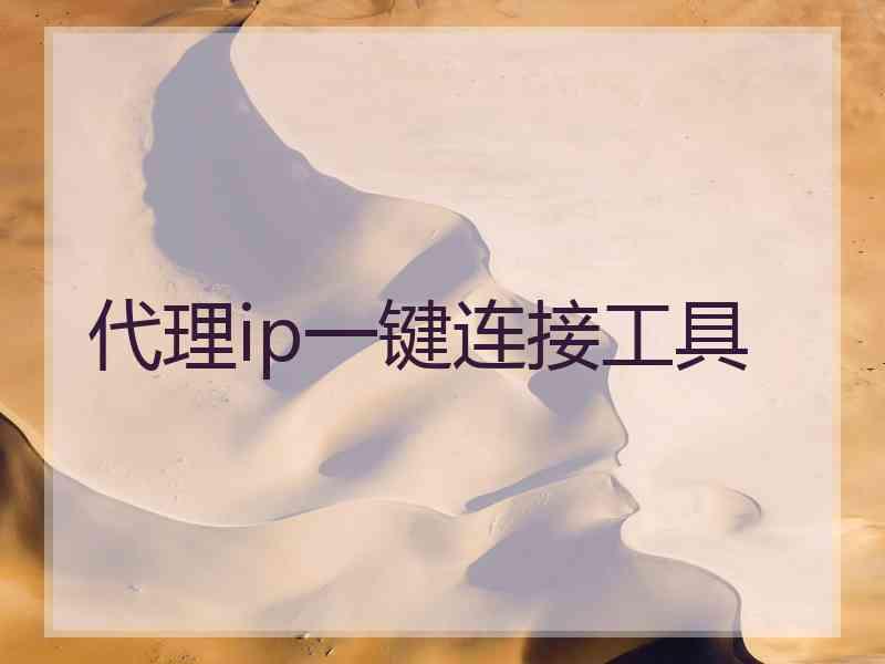 代理ip一键连接工具