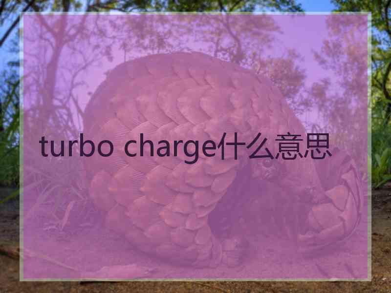 turbo charge什么意思