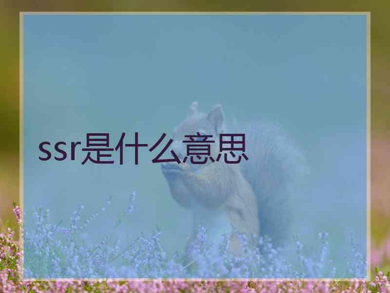 ssr是什么意思