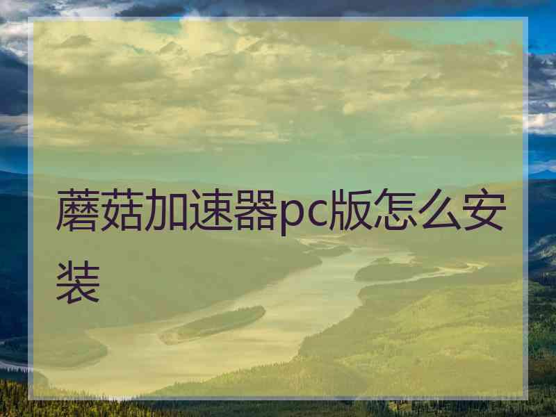 蘑菇加速器pc版怎么安装