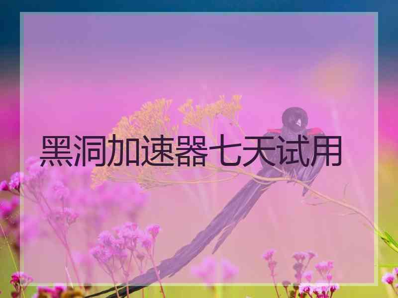 黑洞加速器七天试用