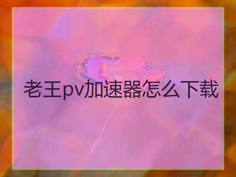 老王pv加速器怎么下载