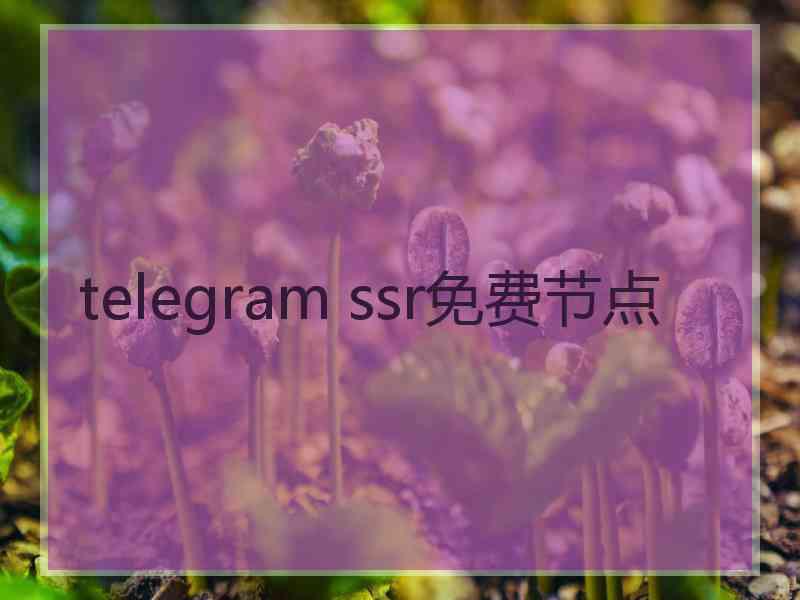 telegram ssr免费节点