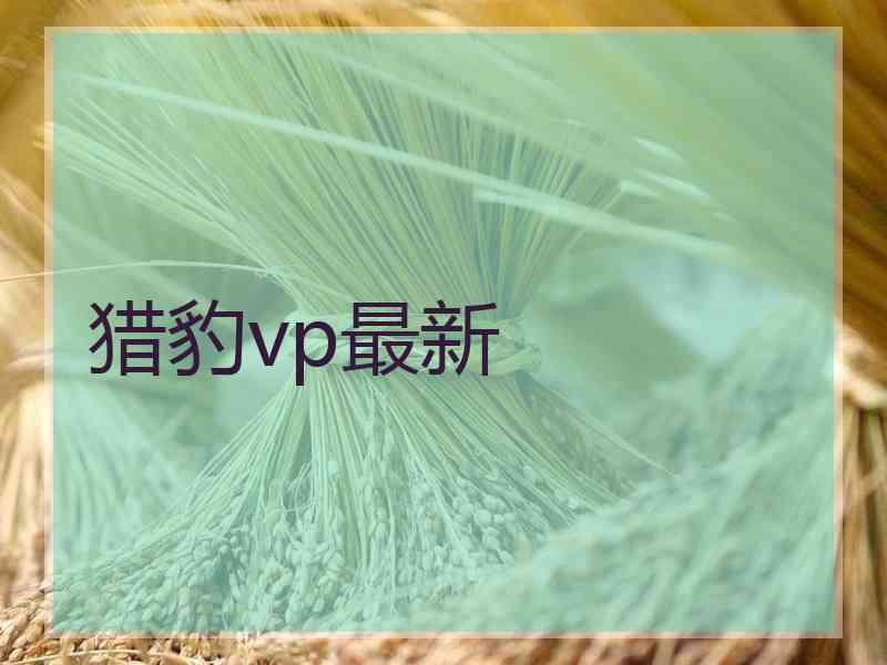 猎豹vp最新