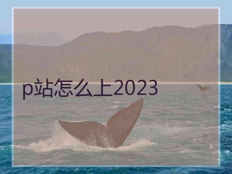 p站怎么上2023