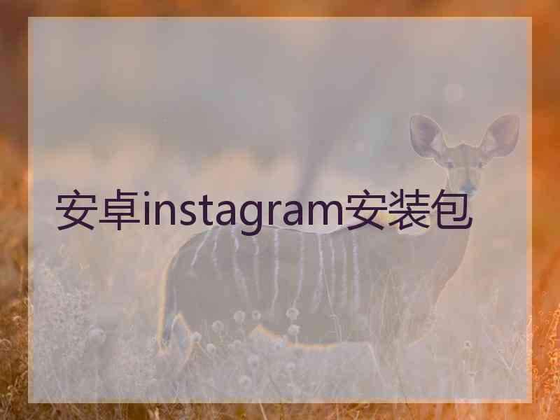 安卓instagram安装包