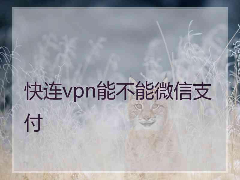 快连vpn能不能微信支付