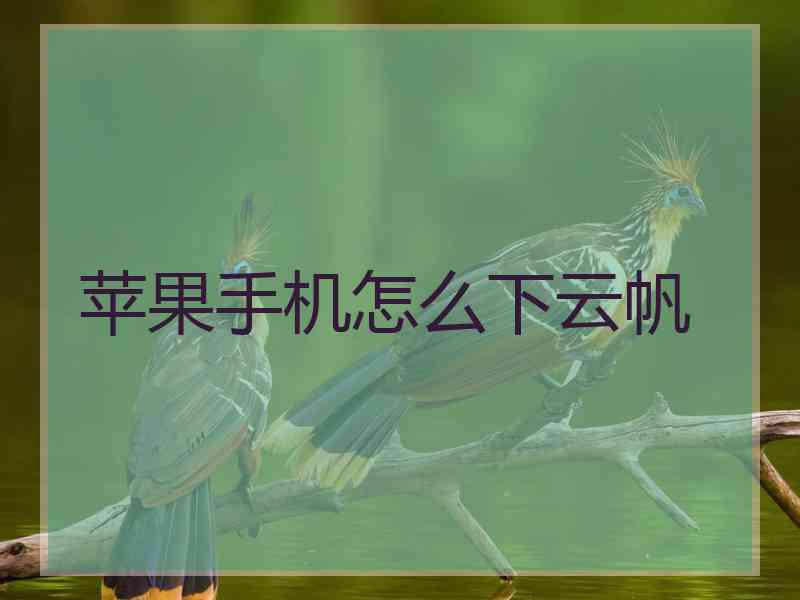 苹果手机怎么下云帆