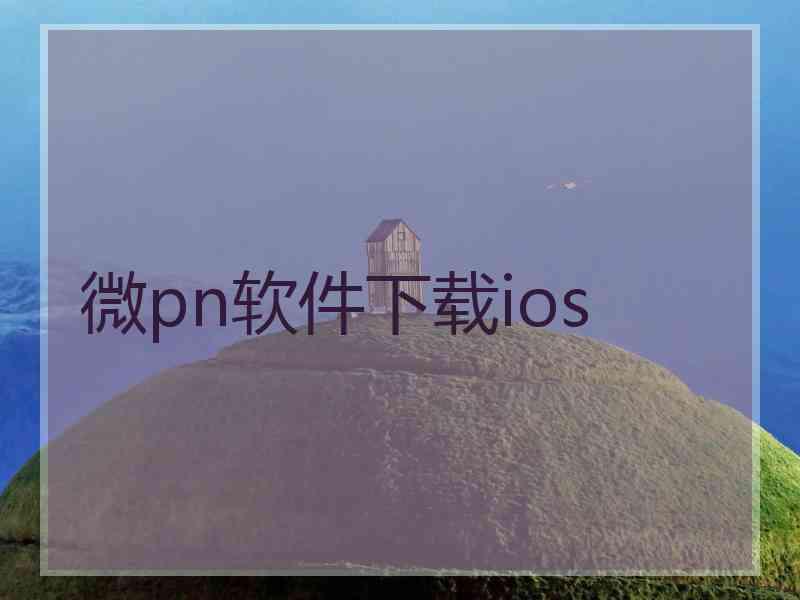 微pn软件下载ios