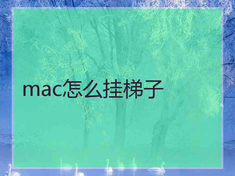 mac怎么挂梯子