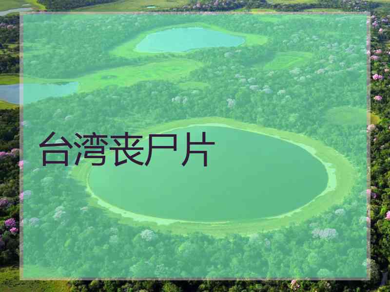 台湾丧尸片